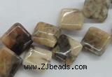 CFS14 15.5 inches 12*12mm diamond natural feldspar gemstone beads