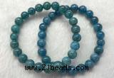 CGB2621 7.5 inches 8mm round natural apatite beaded bracelets