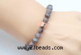 CGB9260 8mm, 10mm Botswana agate & drum hematite power beads bracelets