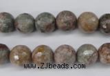 CGG14 15.5 inches 10mm faceted round ghost gemstone beads wholesale