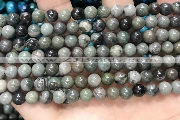 CGJ511 15.5 inches 6mm round green forst jasper beads wholesale