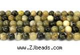 CHJ103 15 inches 10mm round honeybee jasper beads