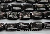 CHS89 15.5 inches 10*14mm rectangle natural hypersthene beads