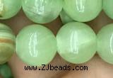 CJB311 15.5 inches 10mm round dyed green jade gemstone beads