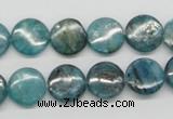 CKC22 16 inches 12mm flat round natural kyanite beads wholesale