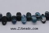 CKC30 16 inches 6*12mm marquise natural kyanite beads wholesale