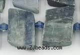 CKC785 15.5 inches 11*15mm - 12*18mm freeform blue kyanite beads