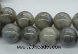 CLB102 15.5 inches 14mm round labradorite gemstone beads wholesale