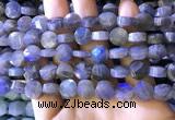 CLB1022 15.5 inches 10mm faceted coin labradorite gemstone beads
