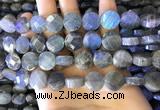 CLB1023 15.5 inches 12mm faceted coin labradorite gemstone beads