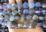 CLB1024 15.5 inches 14mm faceted coin labradorite gemstone beads