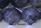 CLB1097 15.5 inches 10mm faceted round labradorite gemstone beads