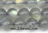 CLB1188 15 inches 7mm round labradorite gemstone beads