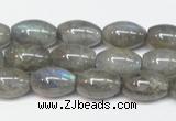 CLB150 15.5 inches 8*12mm rice labradorite gemstone beads