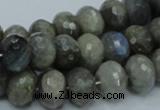 CLB32 15.5 inches 10*14mm faceted rondelle labradorite gemstone beads