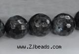 CLB365 15.5 inches 16mm faceted round black labradorite beads wholesale