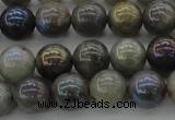 CLB603 15.5 inches 10mm round AB-color labradorite beads