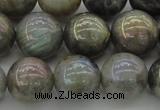 CLB605 15.5 inches 14mm round AB-color labradorite beads