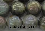 CLB608 15.5 inches 20mm round AB-color labradorite beads