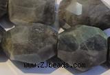 CLB704 15.5 inches 15*18mm - 20*25mm faceted nuggets labradorite beads