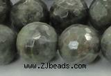 CLB715 15.5 inches 20mm faceted round labradorite gemstone beads