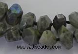 CLB765 15.5 inches 8*12mm - 12*16mm faceted nuggets labradorite beads