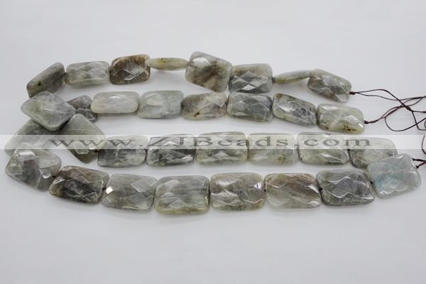 CLB96 15.5 inches 18*25mm faceted rectangle labradorite beads