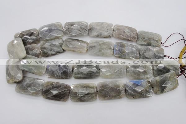 CLB97 15.5 inches 20*30mm faceted rectangle labradorite beads