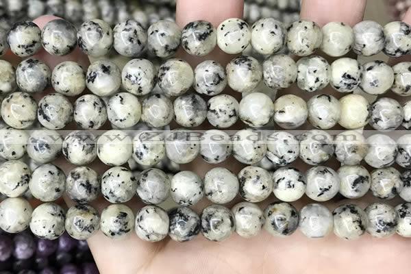 CLJ502 15.5 inches 4mm,6mm,8mm,10mm & 12mm round sesame jasper beads