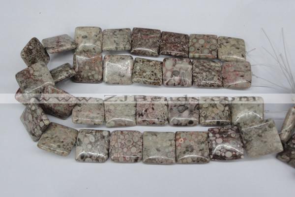 CMB23 15.5 inches 25*25mm square natural medical stone beads