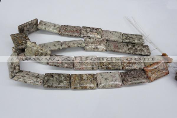 CMB28 15.5 inches 20*30mm rectangle natural medical stone beads