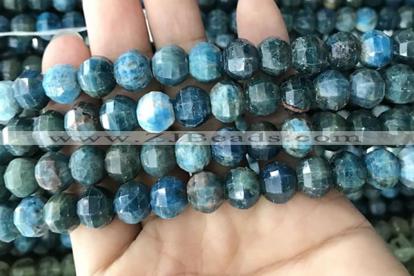 CME247 15.5 inches 10*11mm - 10*12mm pumpkin apatite beads