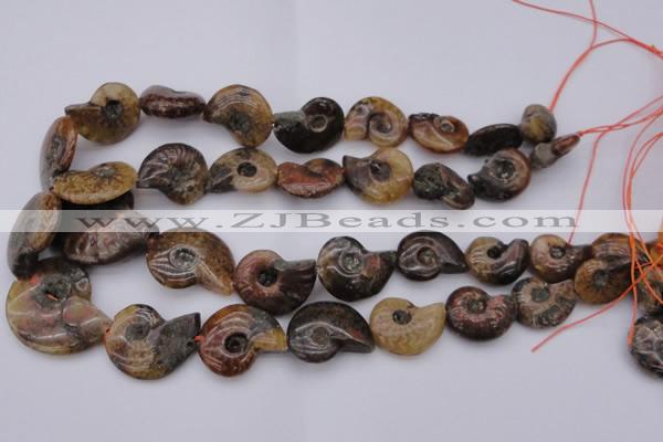 CMM01 15.5 inches 13*18mm - 30*35mm carved ammonite gemstone beads
