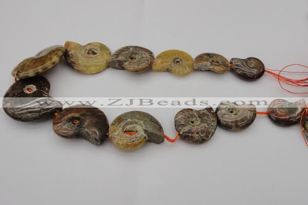 CMM02 15.5 inches 18*25mm - 35*45mm carved ammonite gemstone beads