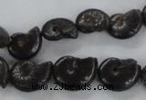 CMM50 15.5 inches 10*14mm - 12*16mm ammonite gemstone beads