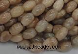 CMS06 15.5 inches 6*10mm rice moonstone gemstone beads wholesale