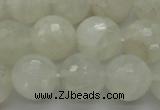 CMS1045 15.5 inches 14mm faceted round A grade white moonstone beads