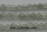 CMS1054 15.5 inches 4mm faceted round grey moonstone beads wholesale