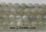 CMS1057 15.5 inches 6mm round grey moonstone beads wholesale