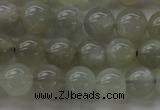 CMS1058 15.5 inches 8mm round grey moonstone beads wholesale