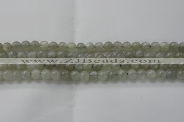 CMS1058 15.5 inches 8mm round grey moonstone beads wholesale