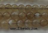 CMS1064 15.5 inches 6mm round grey moonstone beads wholesale
