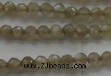 CMS1066 15.5 inches 4mm faceted round grey moonstone beads wholesale
