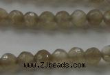 CMS1067 15.5 inches 6mm faceted round grey moonstone beads wholesale