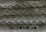 CMS1070 15.5 inches 4mm round grey moonstone beads wholesale