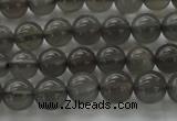 CMS1071 15.5 inches 6mm round grey moonstone beads wholesale