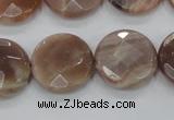 CMS113 15.5 inches 20mm faceted coin moonstone gemstone beads