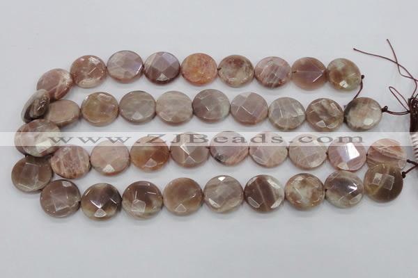 CMS113 15.5 inches 20mm faceted coin moonstone gemstone beads
