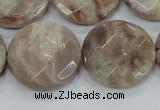 CMS114 15.5 inches 25mm faceted coin moonstone gemstone beads