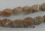 CMS118 15.5 inches 8*12mm twisted rice moonstone gemstone beads